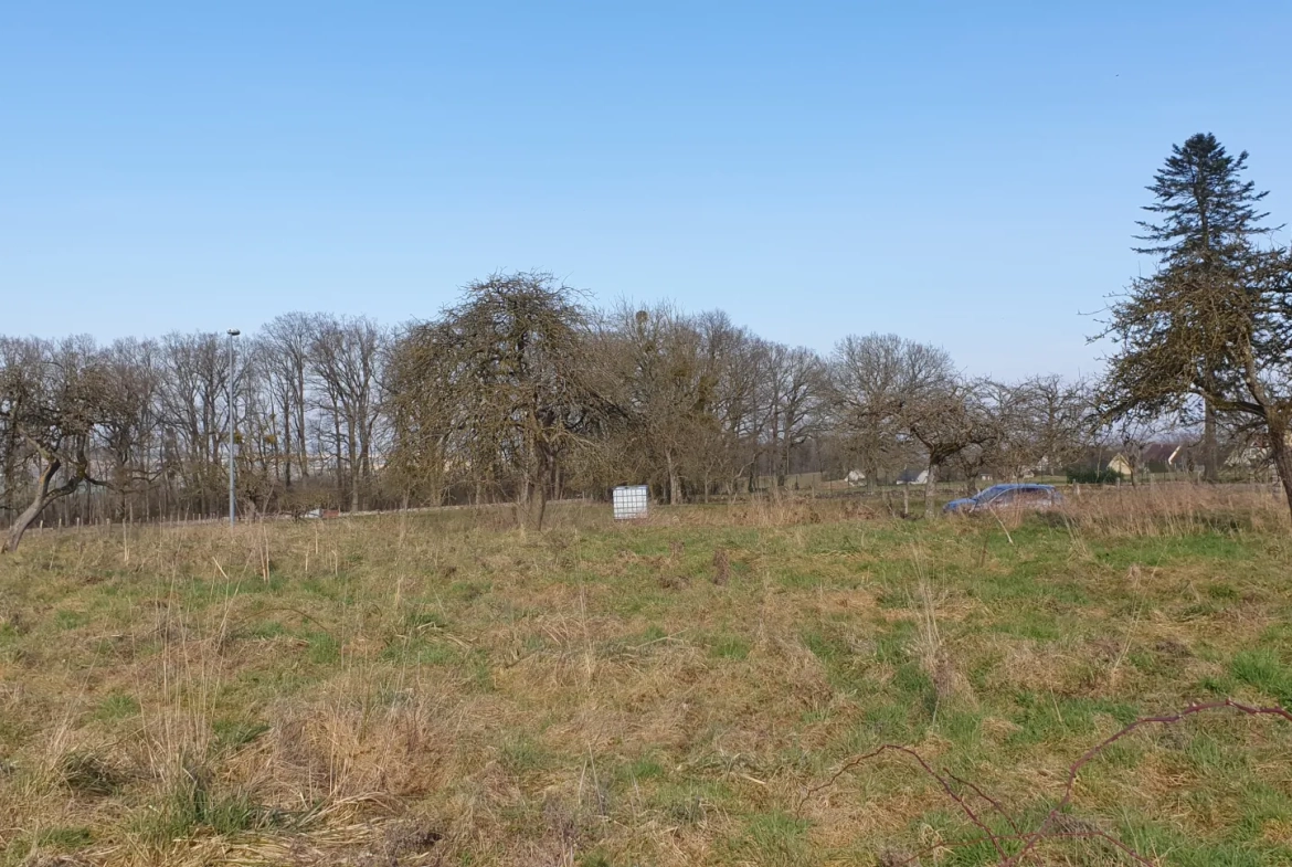 Terrain constructible de 1229 m² proche de Fère-en-Tardenois - Idéal pour votre projet immobilier 