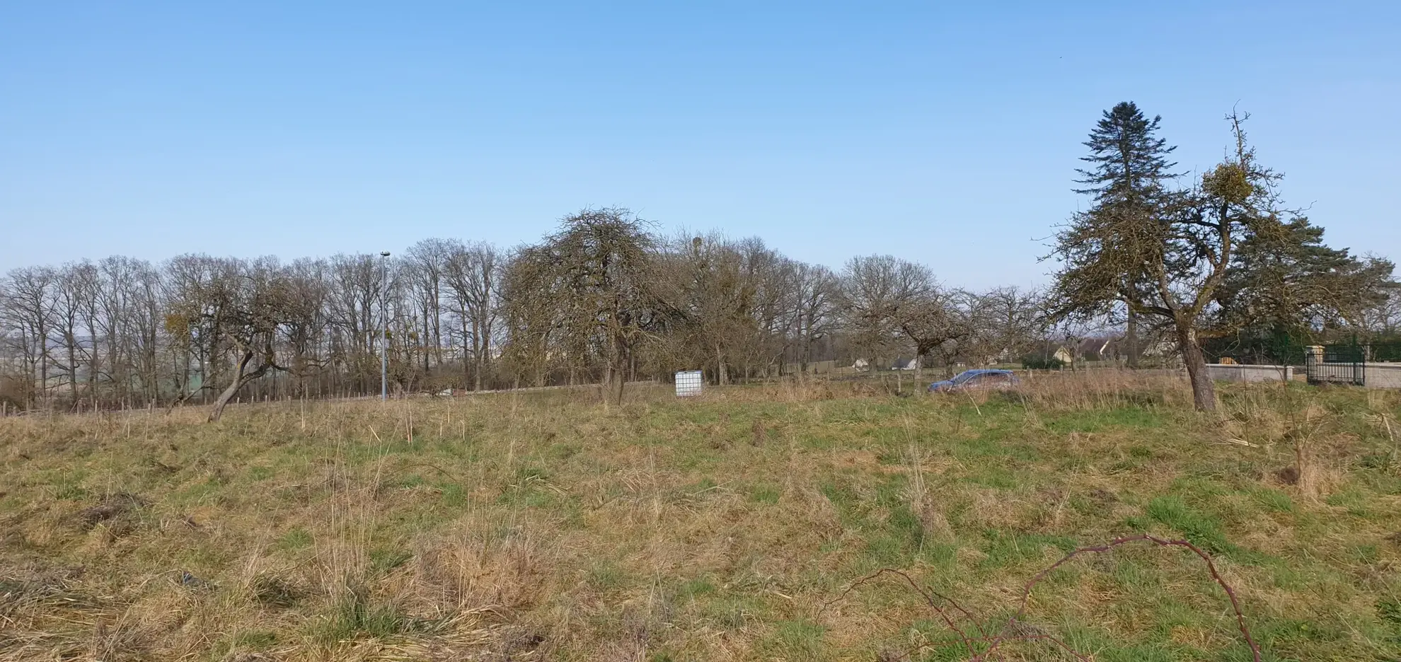 Terrain constructible de 1229 m² proche de Fère-en-Tardenois - Idéal pour votre projet immobilier 