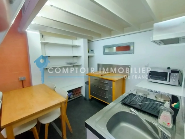 Studio meublé de 21 m² à Grenoble Quartier Europole - Investissement rentable