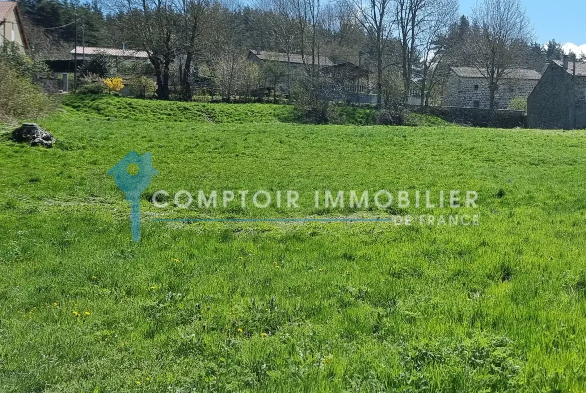 Terrain constructible de 4165 m² à Coucouron avec permis accepté, opportunité rare 