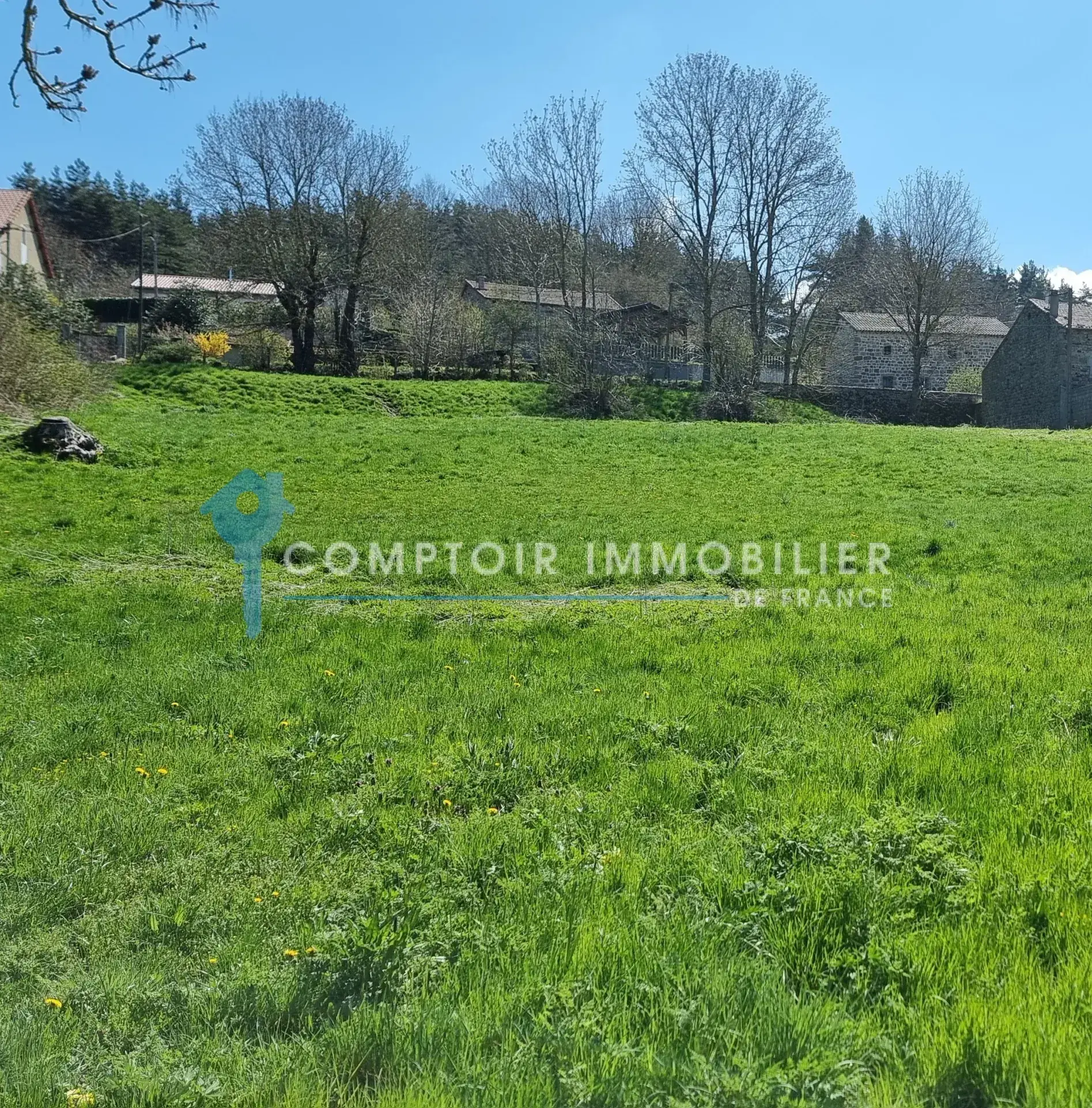Terrain constructible de 4165 m² à Coucouron avec permis accepté, opportunité rare 