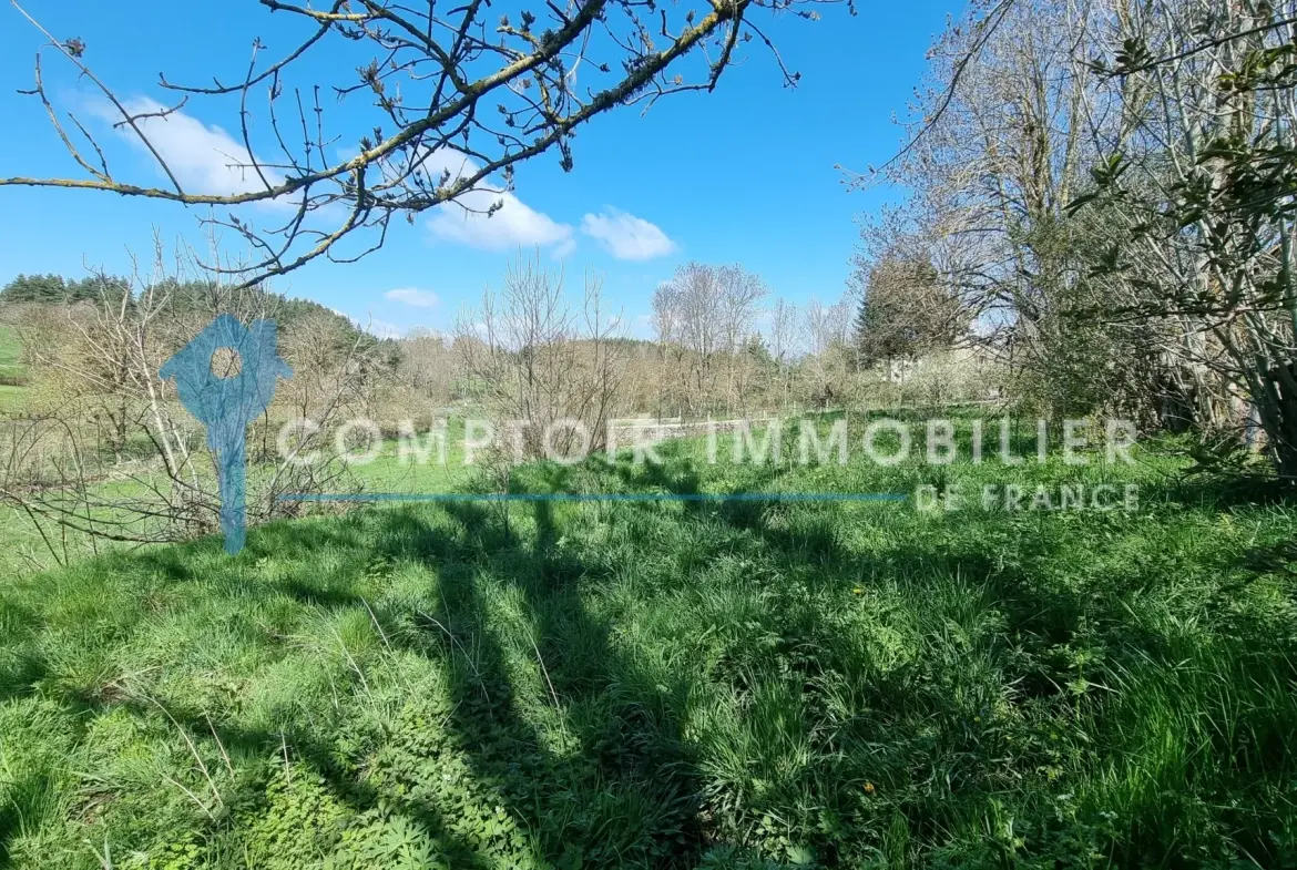 Terrain constructible de 4165 m² à Coucouron avec permis accepté, opportunité rare 
