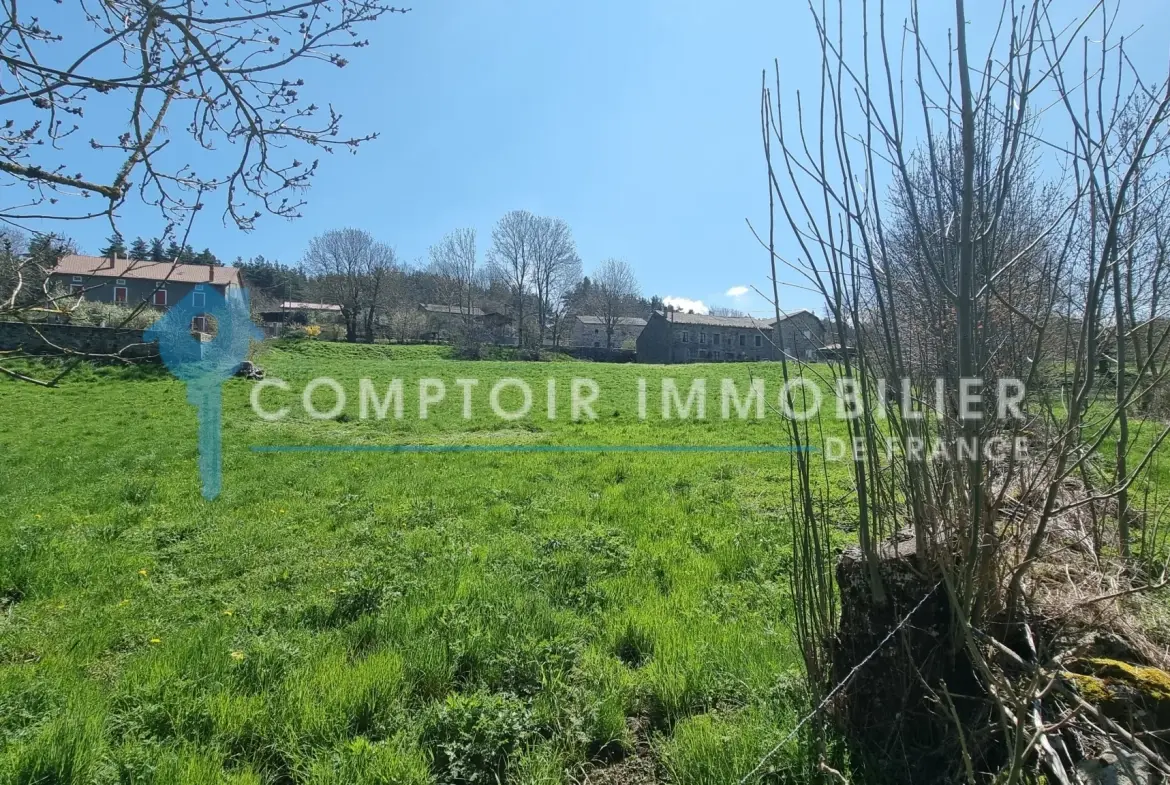 Terrain constructible de 4165 m² à Coucouron avec permis accepté, opportunité rare 