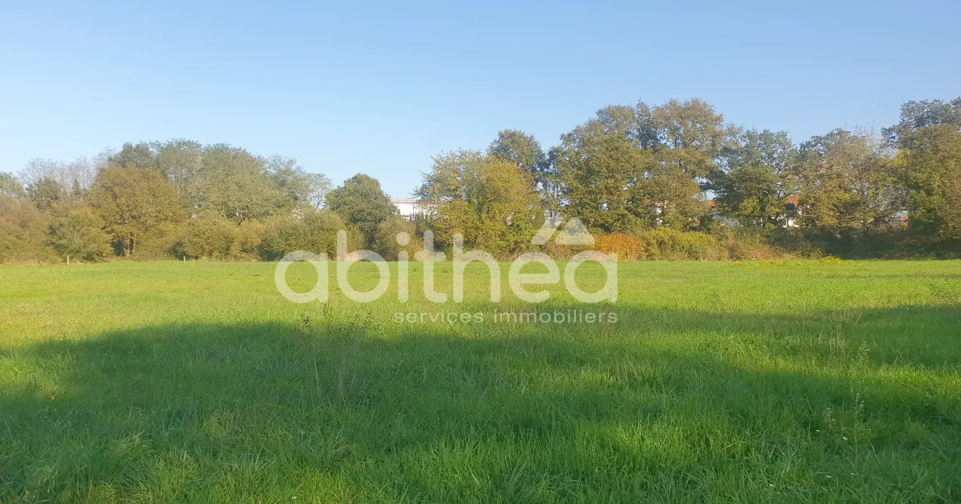 Terrain constructible de 8 750 m² à Roumazières avec bâtiments et accès facilité 