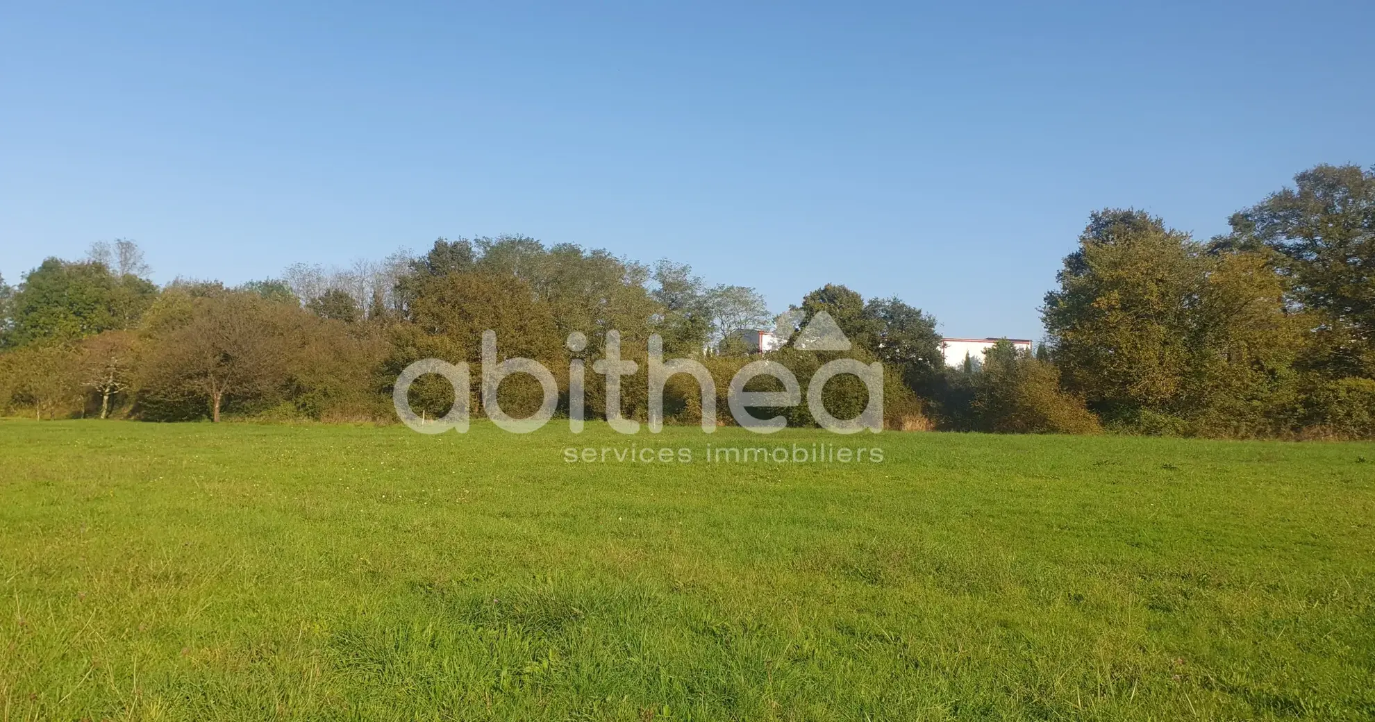 Terrain constructible de 8 750 m² à Roumazières avec bâtiments et accès facilité 