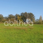 Terrain constructible de 8 750 m² à Roumazières avec bâtiments et accès facilité