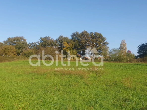 Terrain constructible de 8 750 m² à Roumazières avec bâtiments et accès facilité