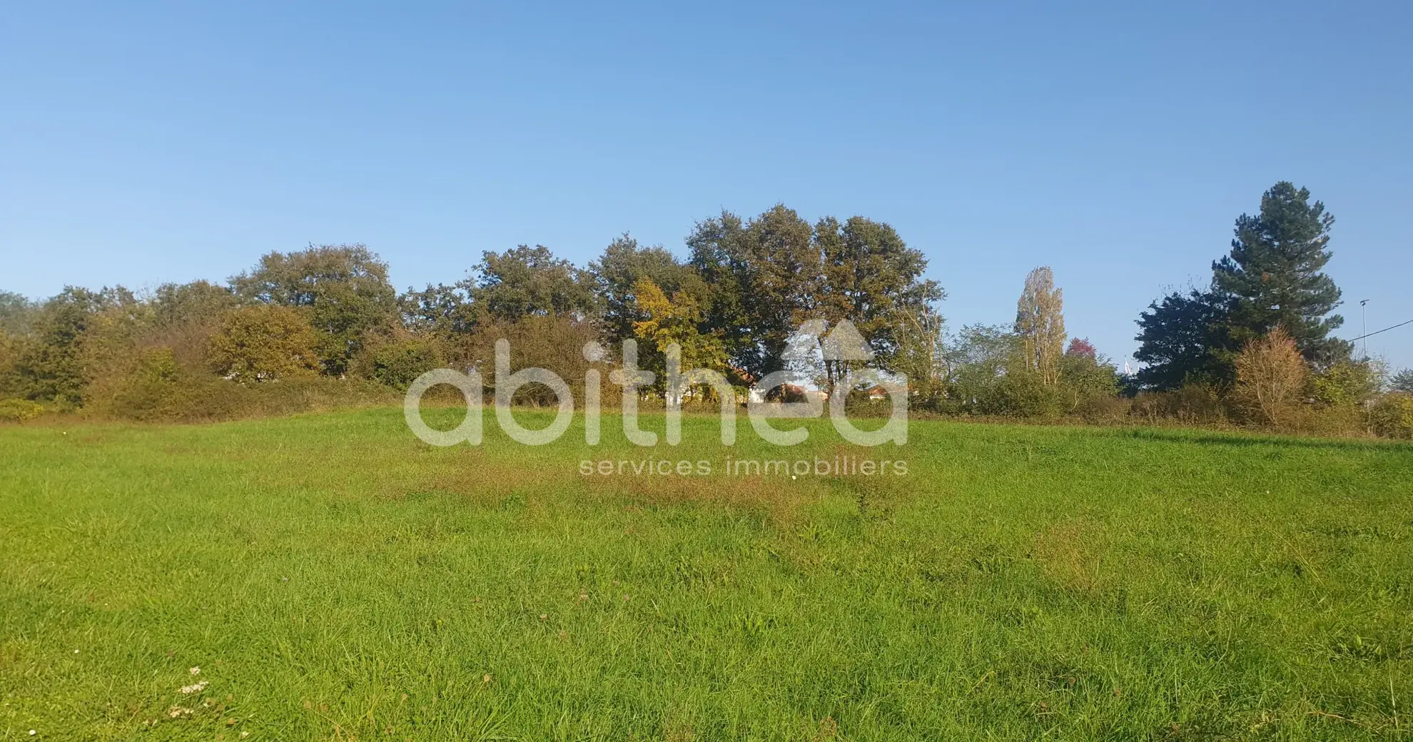Terrain constructible de 8 750 m² à Roumazières avec bâtiments et accès facilité 