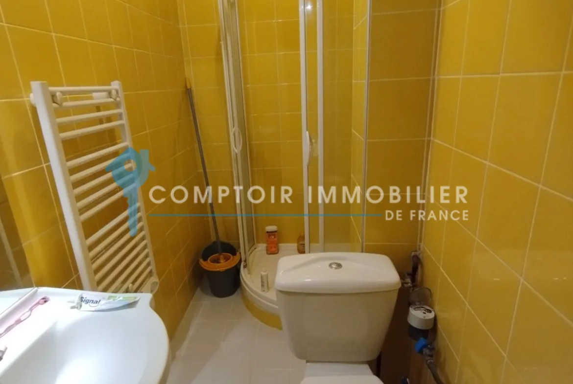 Appartement lumineux de 35 m² à Grenoble, idéal investissement ou résidence principale 