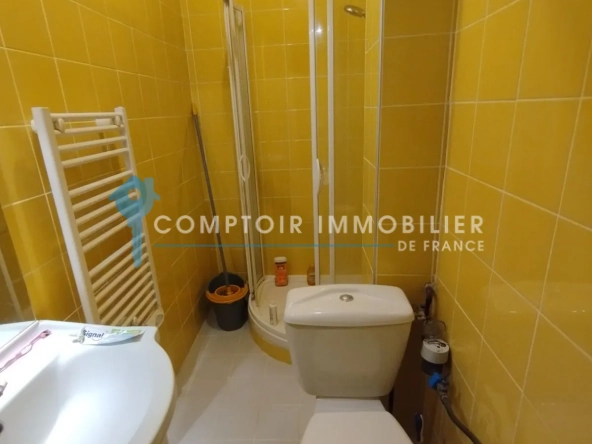 Appartement lumineux de 35 m² à Grenoble, idéal investissement ou résidence principale 