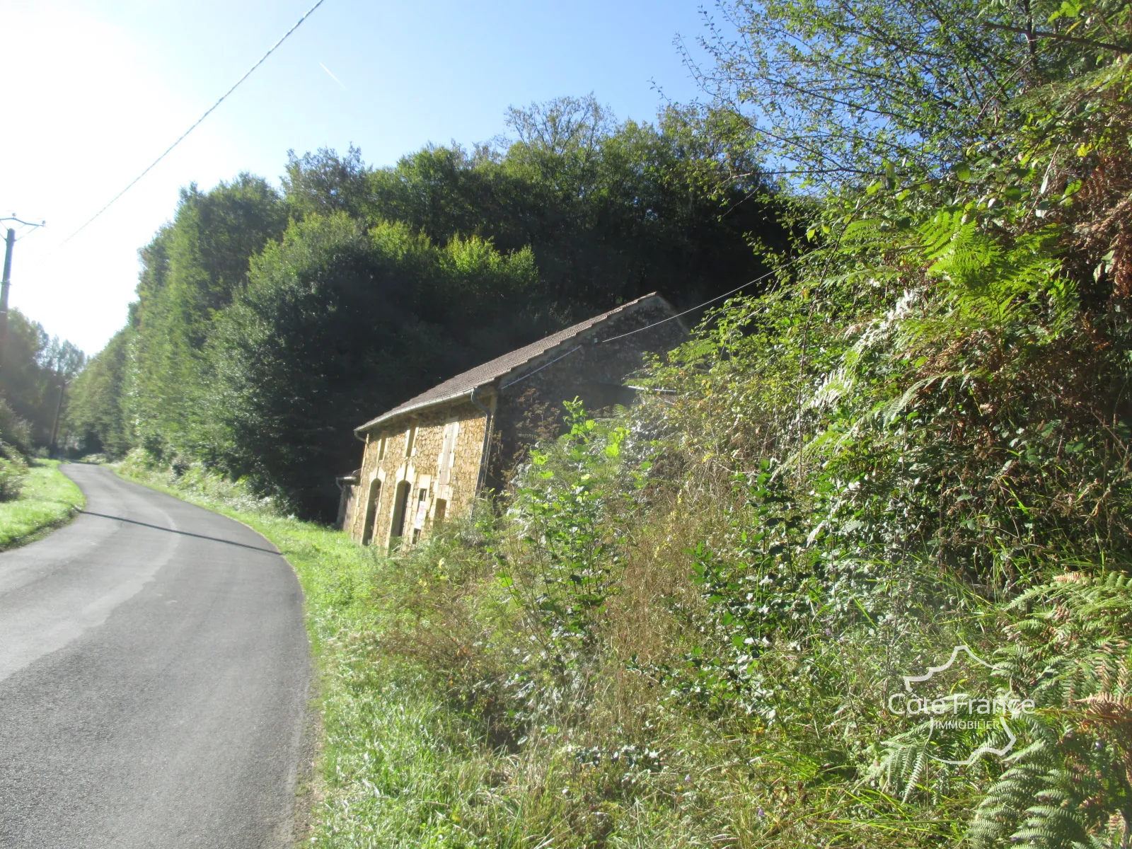 Ensemble immobilier en Dordogne avec maison, terrains et annexes - Opportunité unique 