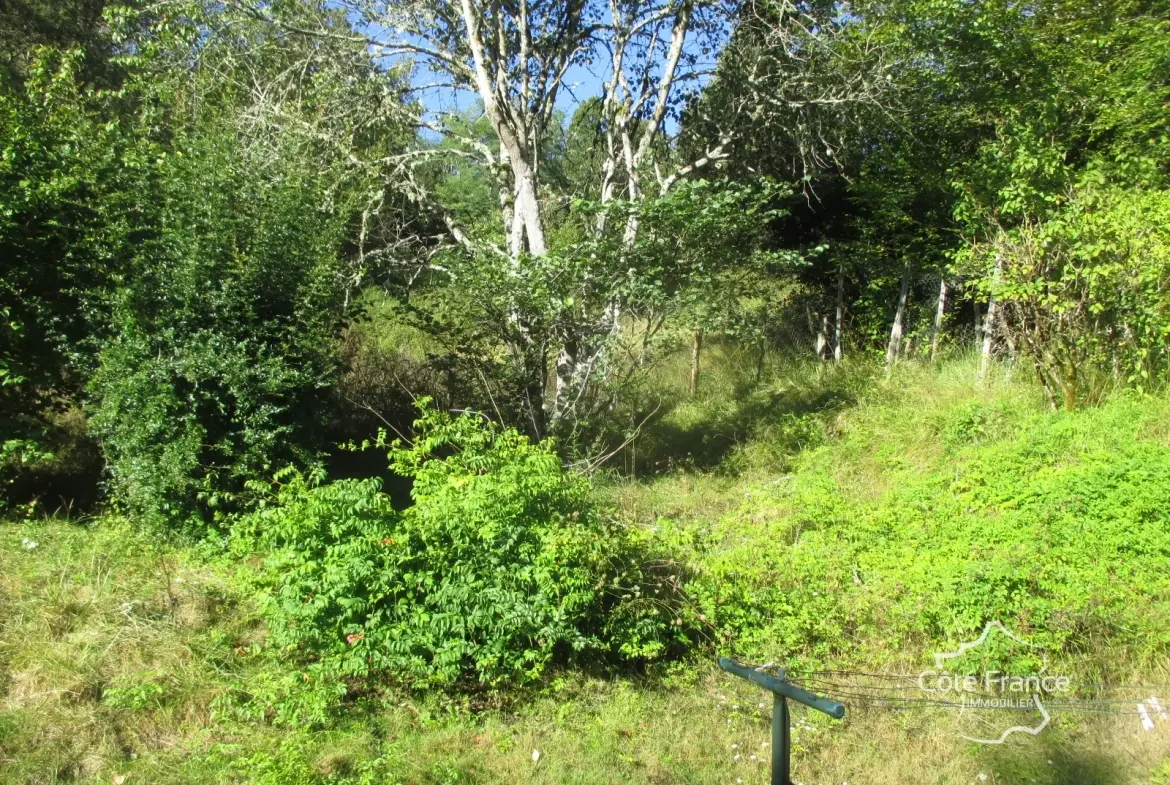 Ensemble immobilier en Dordogne avec maison, terrains et annexes - Opportunité unique 