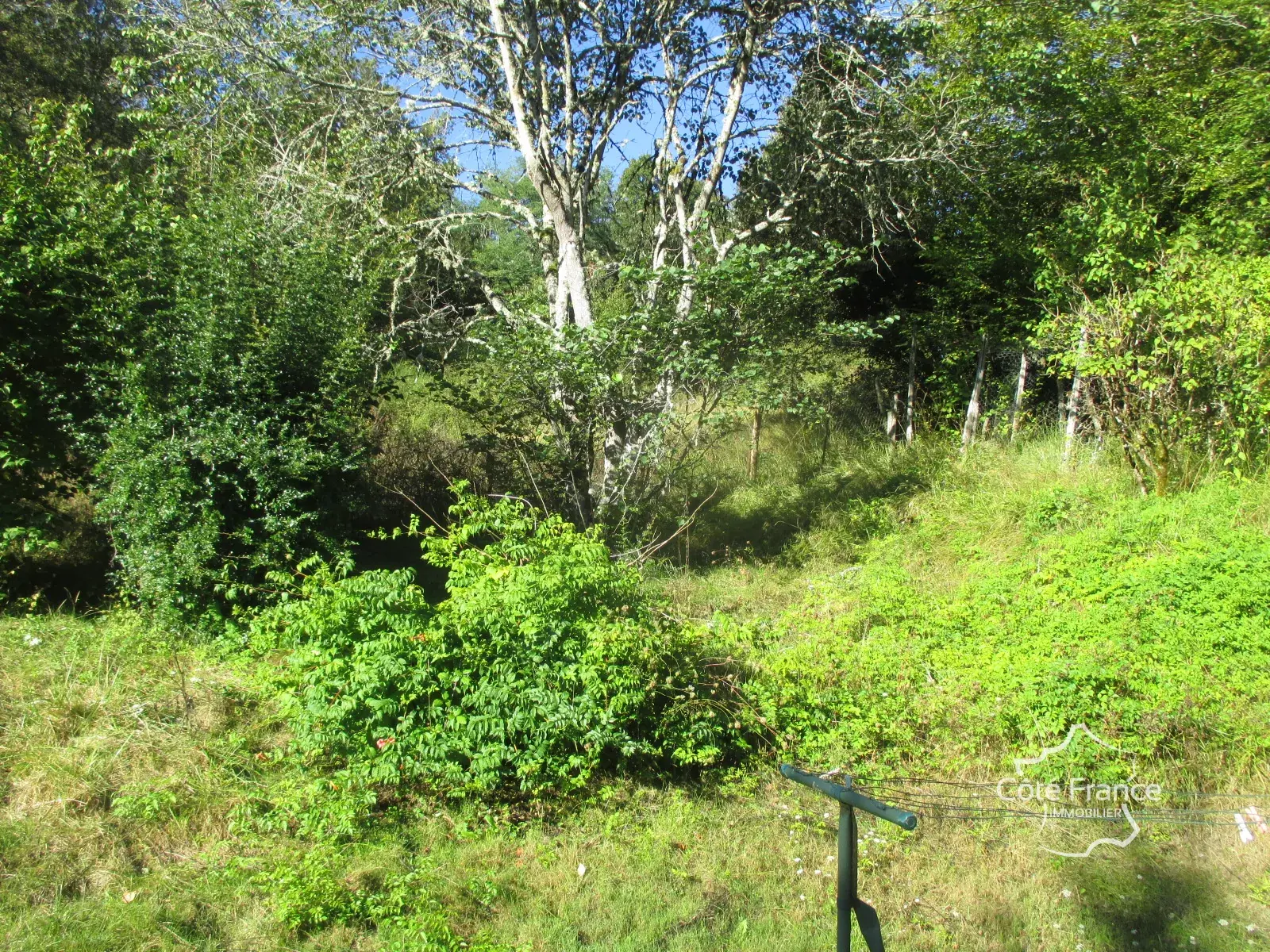 Ensemble immobilier en Dordogne avec maison, terrains et annexes - Opportunité unique 
