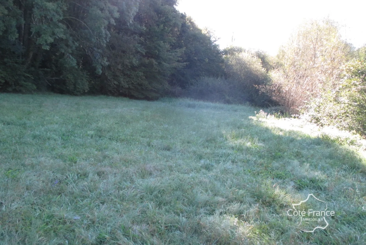 Ensemble immobilier en Dordogne avec maison, terrains et annexes - Opportunité unique 