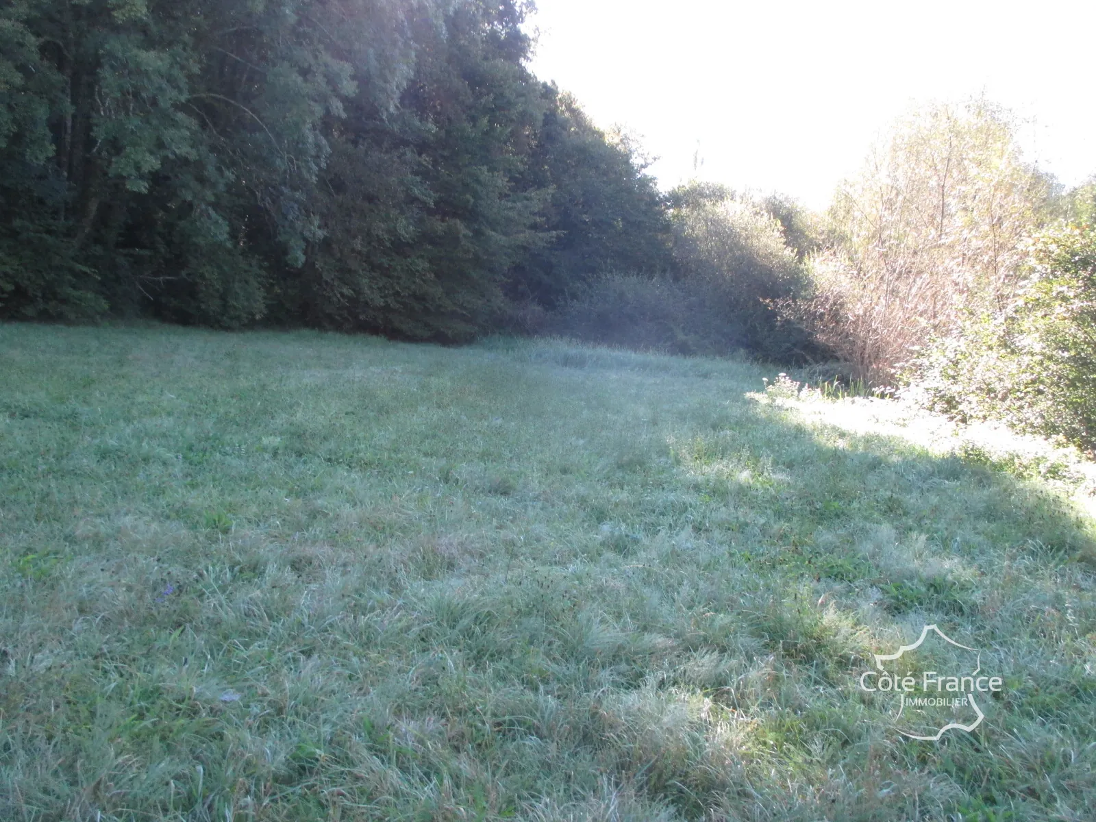Ensemble immobilier en Dordogne avec maison, terrains et annexes - Opportunité unique 