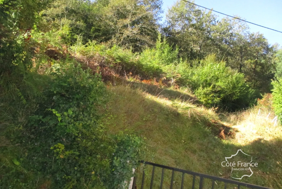 Ensemble immobilier en Dordogne avec maison, terrains et annexes - Opportunité unique 