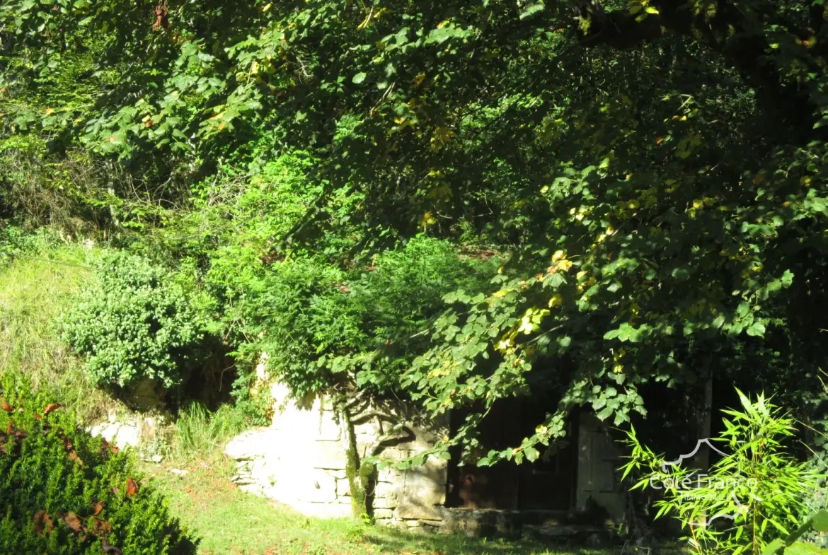 Ensemble immobilier en Dordogne avec maison, terrains et annexes - Opportunité unique 