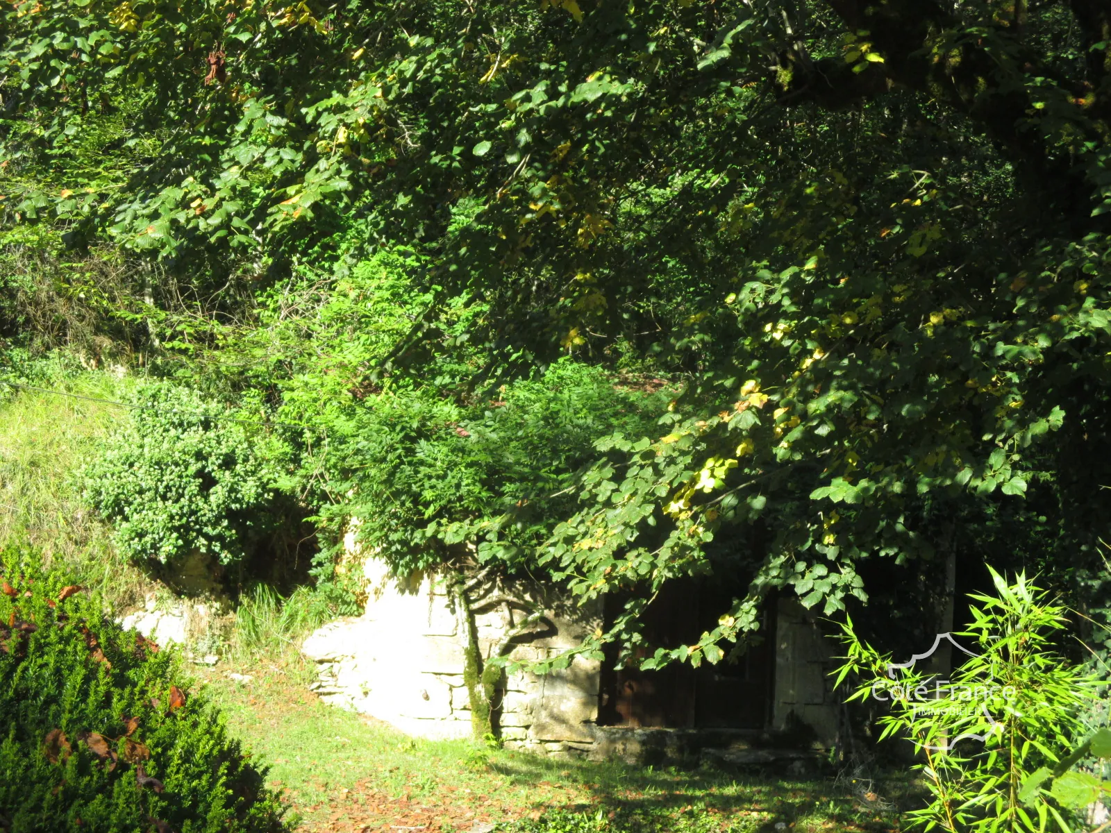 Ensemble immobilier en Dordogne avec maison, terrains et annexes - Opportunité unique 