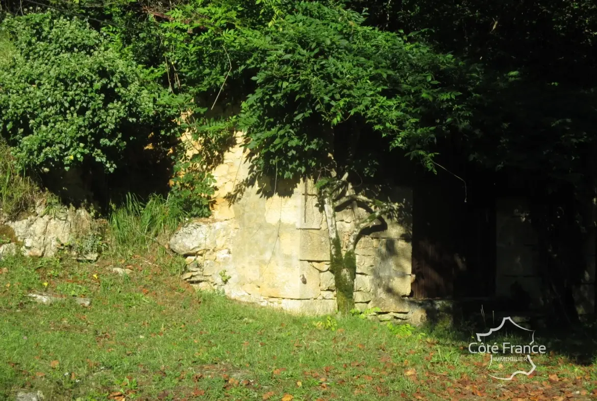 Ensemble immobilier en Dordogne avec maison, terrains et annexes - Opportunité unique 