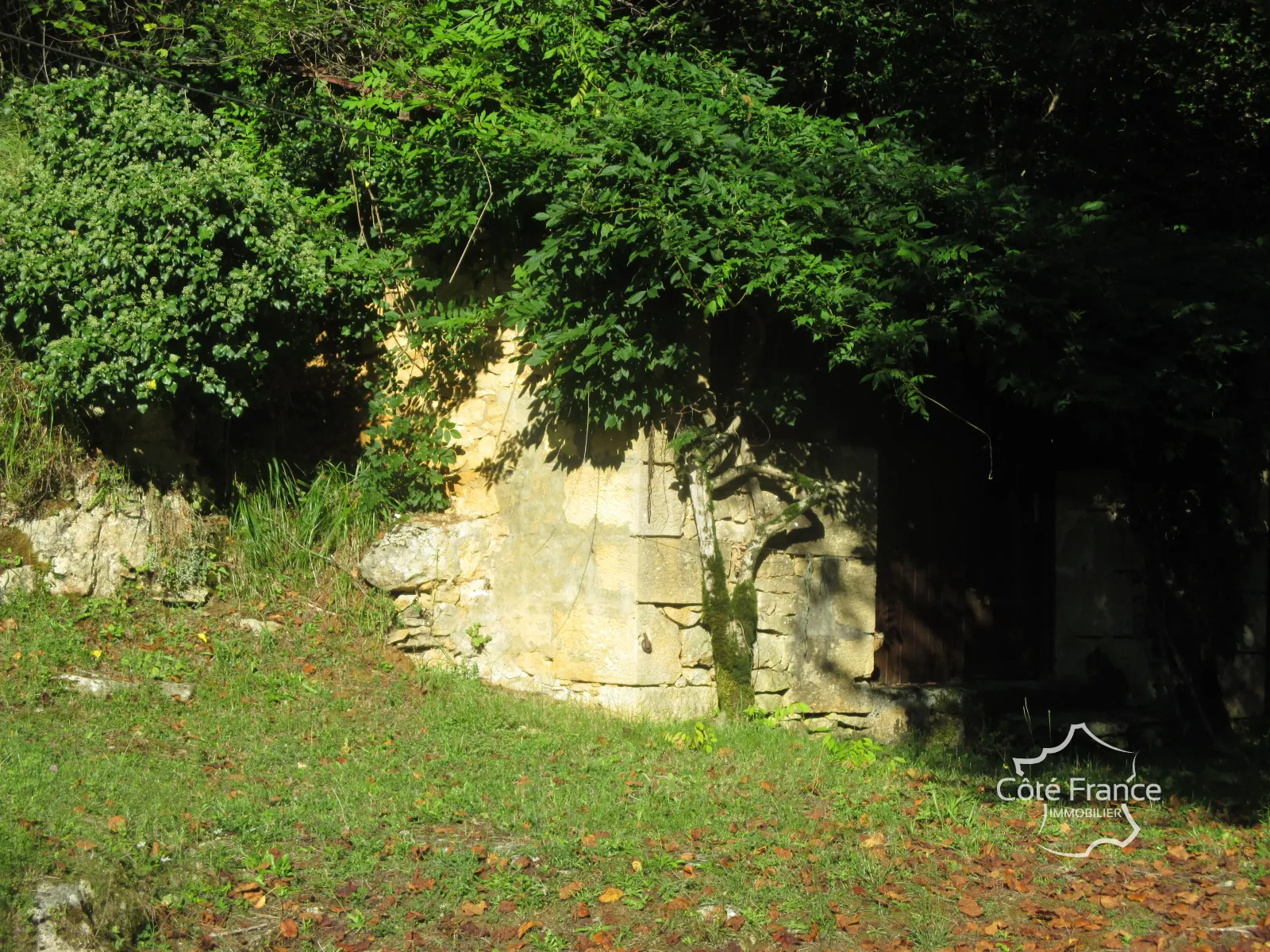 Ensemble immobilier en Dordogne avec maison, terrains et annexes - Opportunité unique 