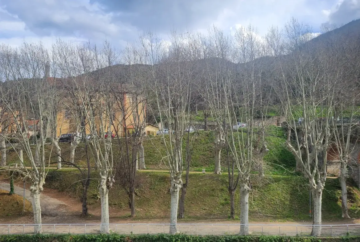 Studio de 23m² à Amélie-les-Bains avec balcon, parking et vue dégagée 