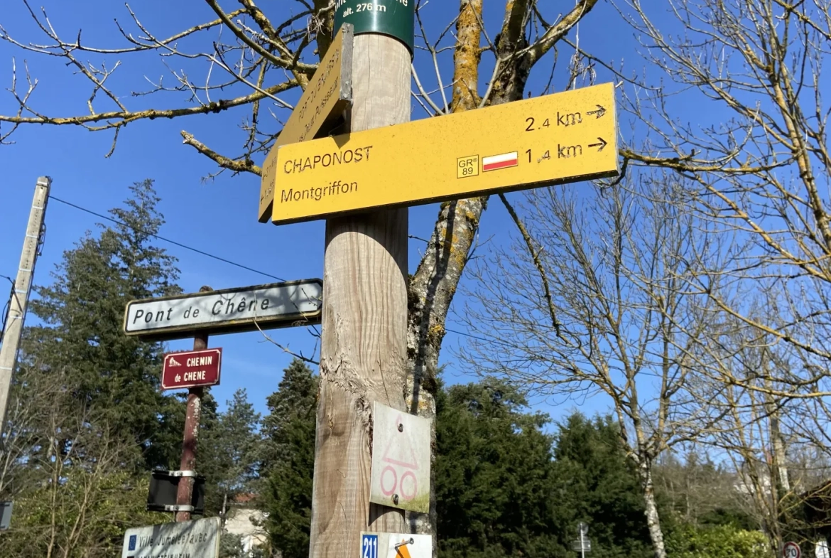 Maison neuve avec jardin dans le sud-ouest lyonnais - Francheville le HAUT 