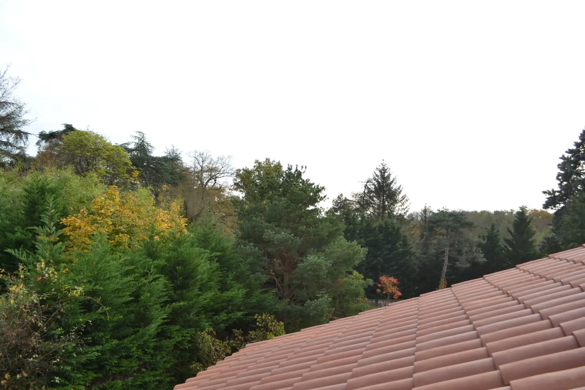 Maison neuve avec jardin dans le sud-ouest lyonnais - Francheville le HAUT 