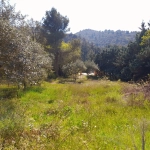 Terrain constructible de 629 m² au pied du Luberon à Robion