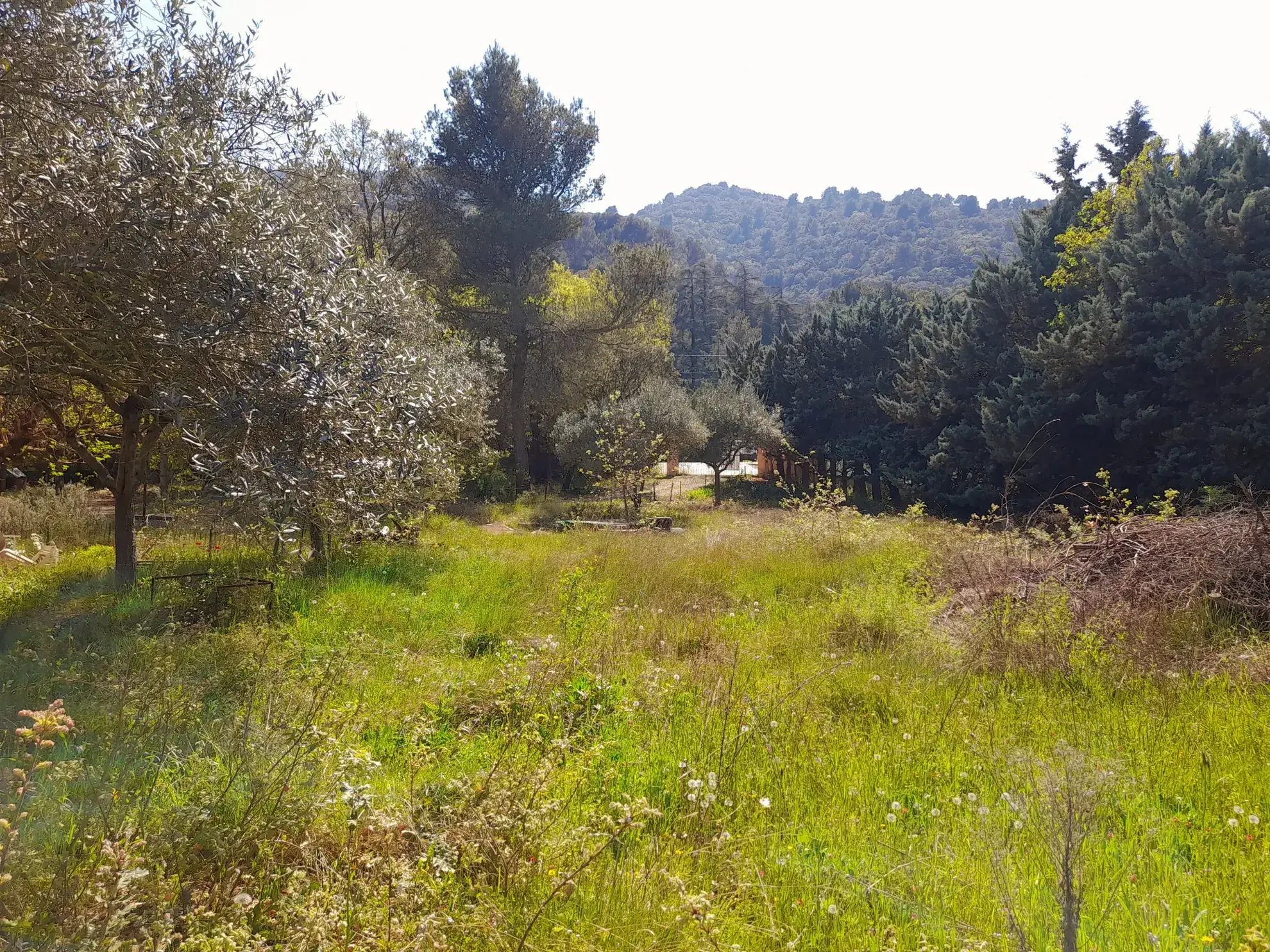 Terrain constructible de 629 m² au pied du Luberon à Robion 