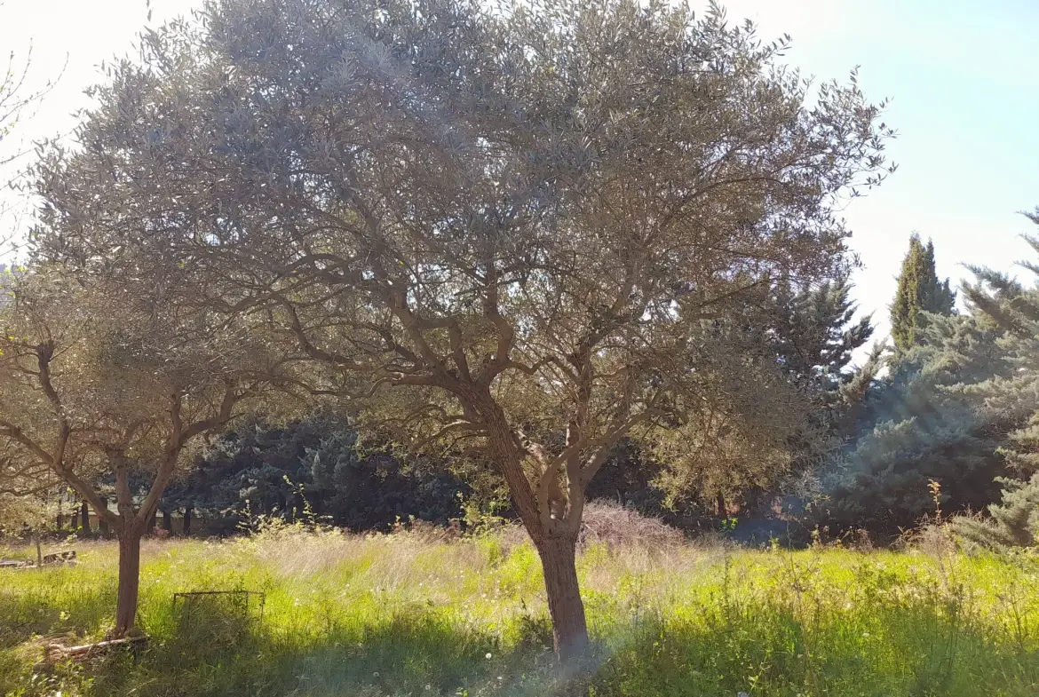 Terrain constructible de 629 m² au pied du Luberon à Robion 