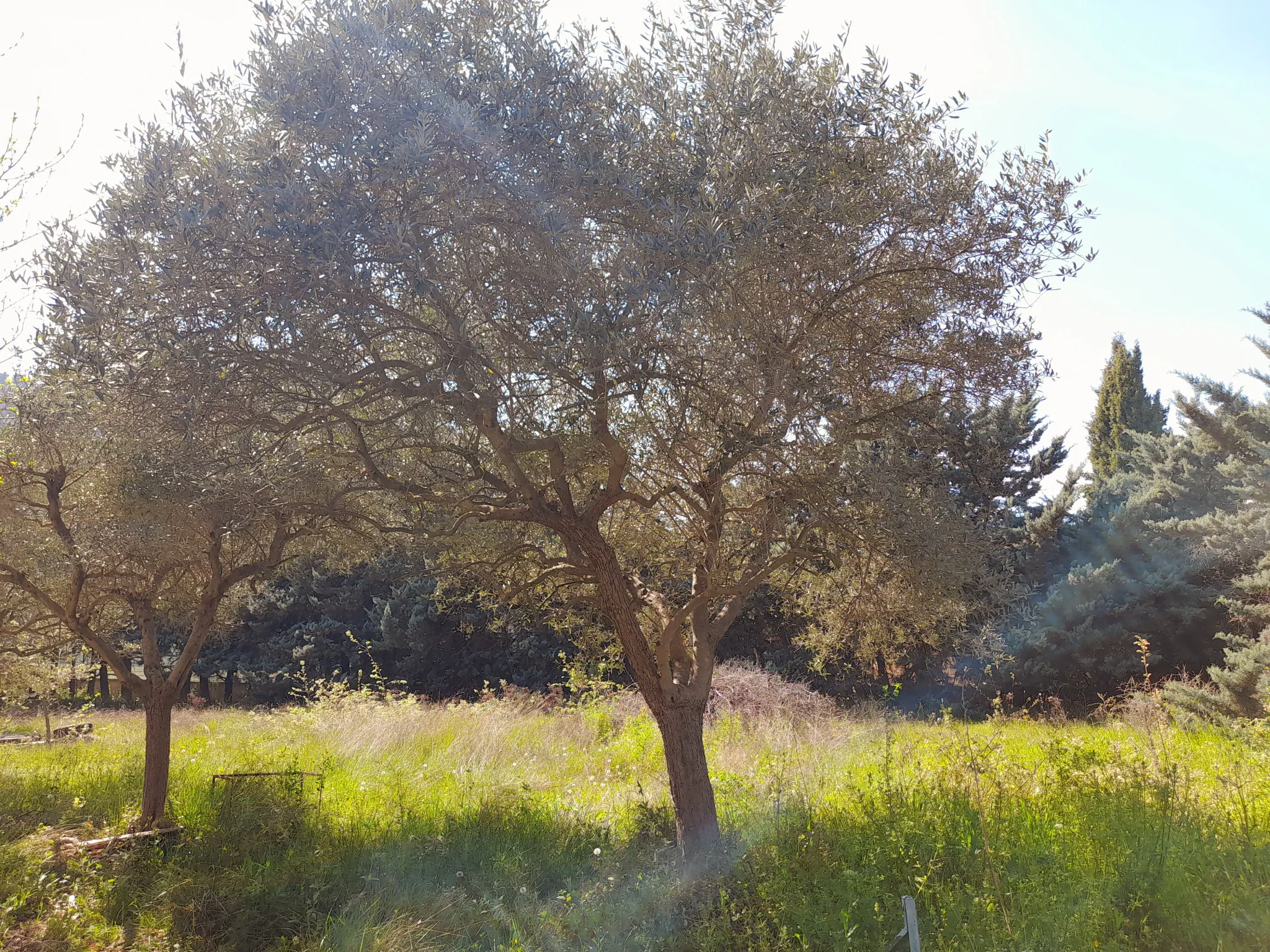 Terrain constructible de 629 m² au pied du Luberon à Robion 