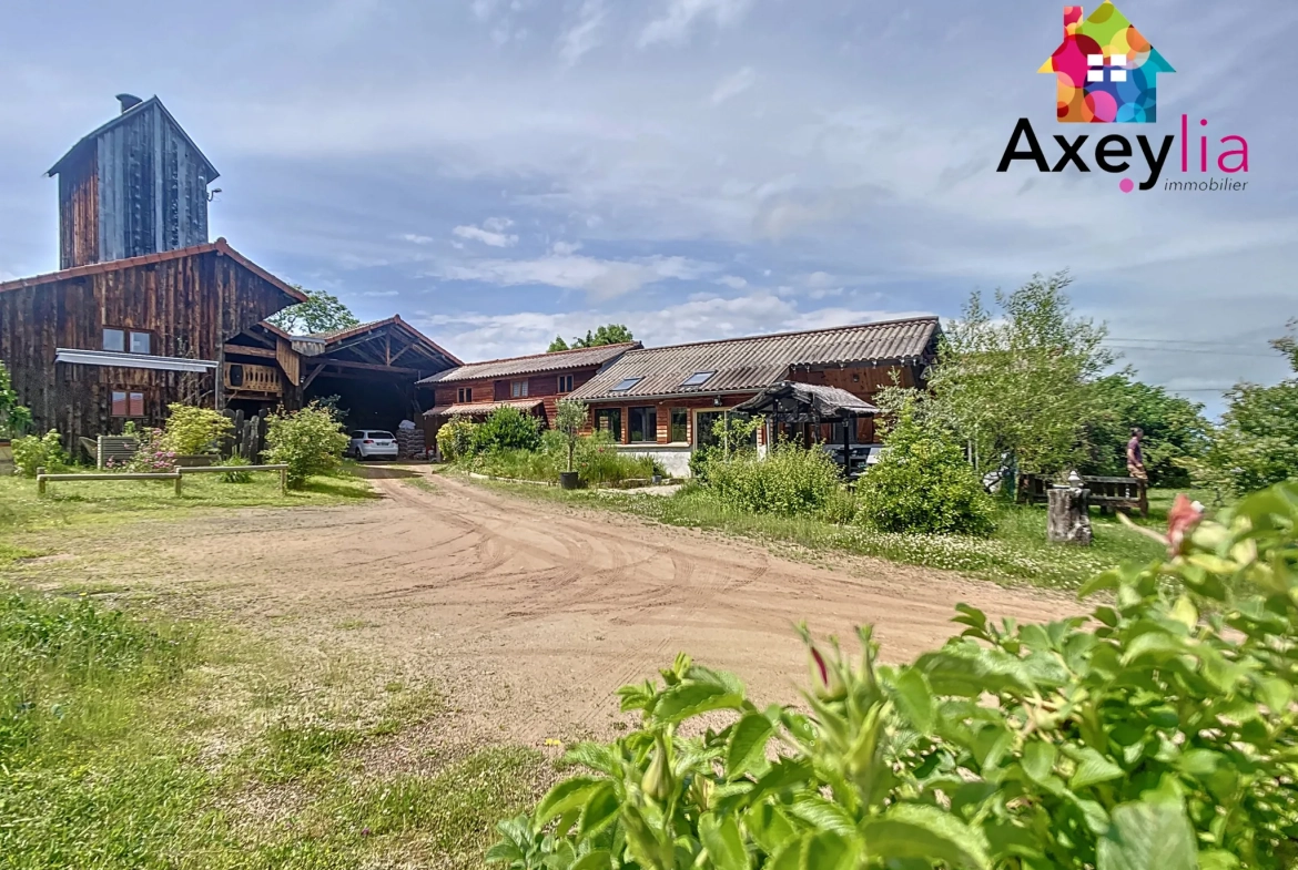 Propriété avec maison, gîte et dépendances à Ambierle - Vue exceptionnelle 