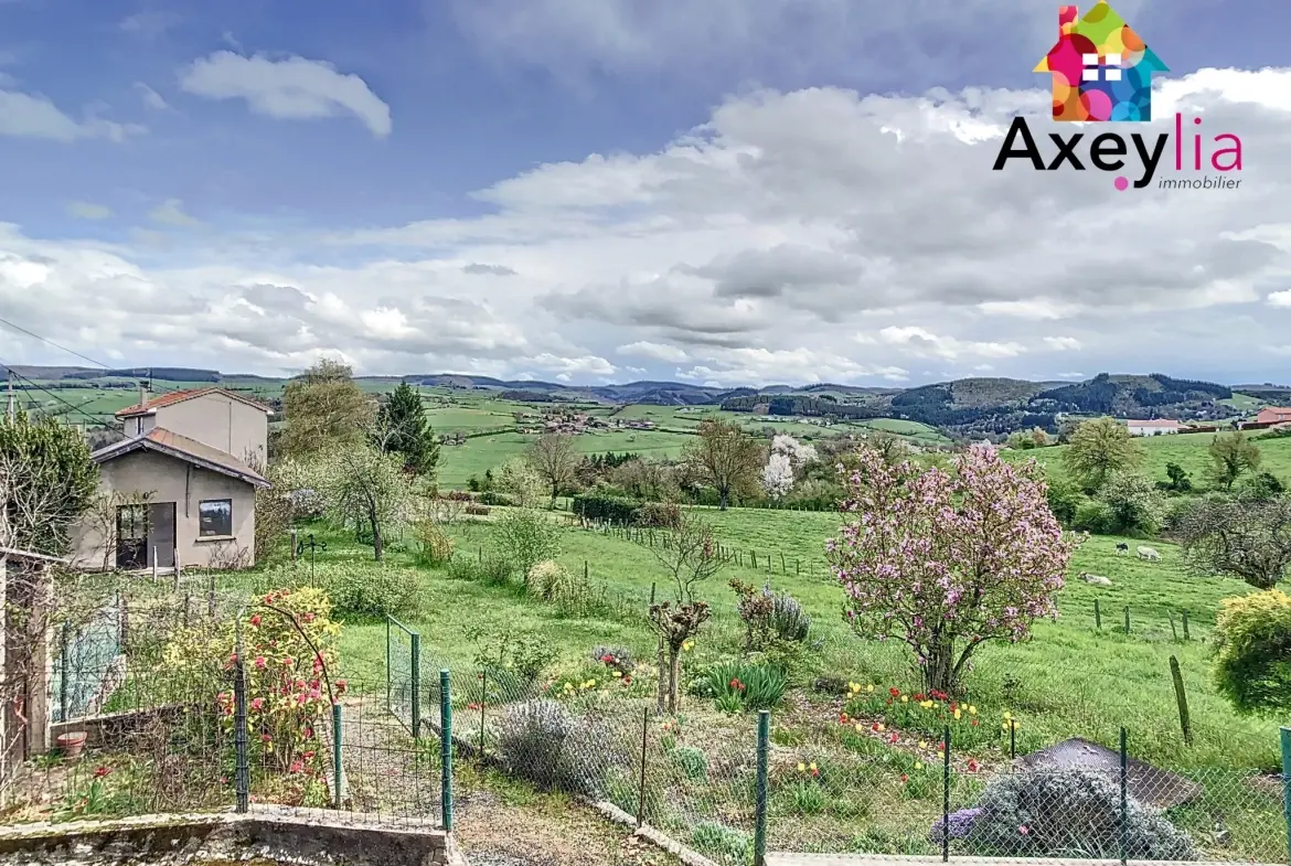 Maison ancienne à Neulise avec garages et grand terrain proche Roanne 