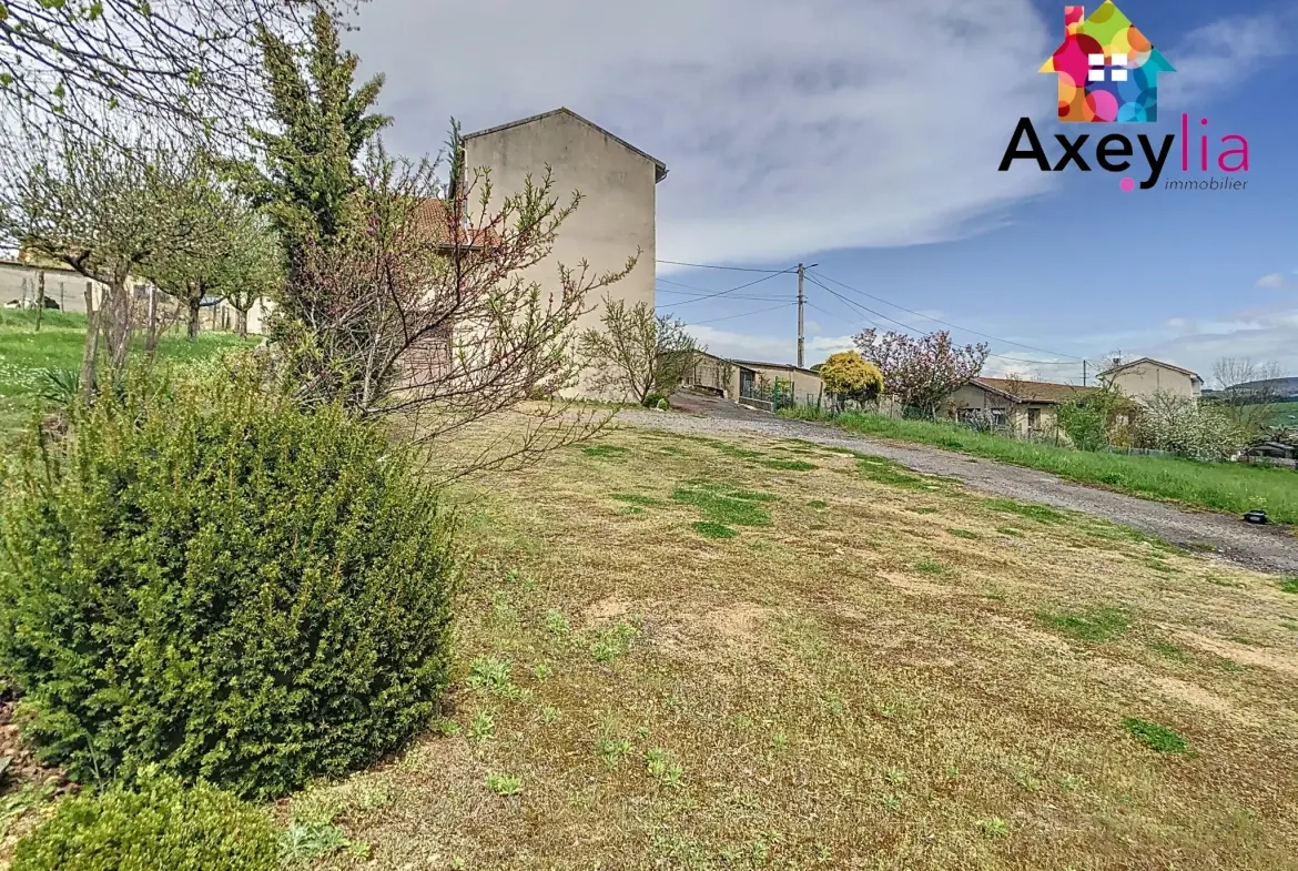 Maison ancienne à Neulise avec garages et grand terrain proche Roanne 