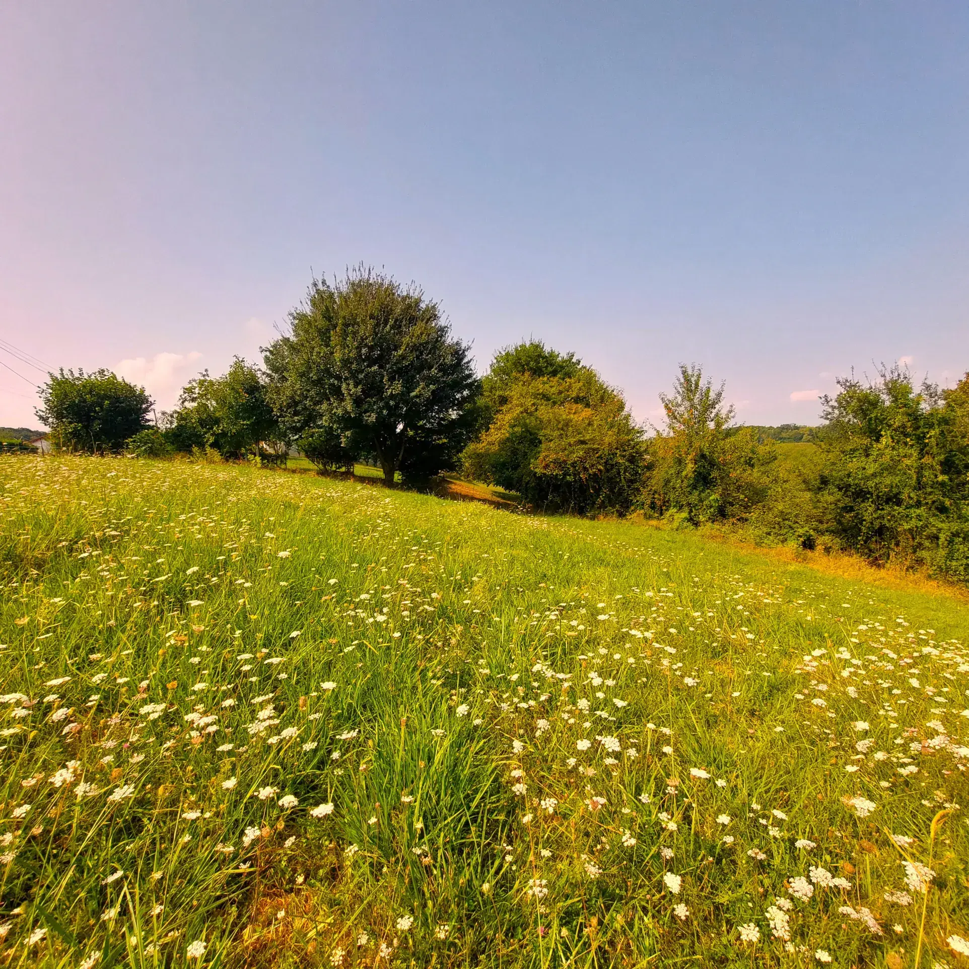 Terrain à bâtir de 1338 m² à Guiche avec vue dégagée, proximité Bayonne 