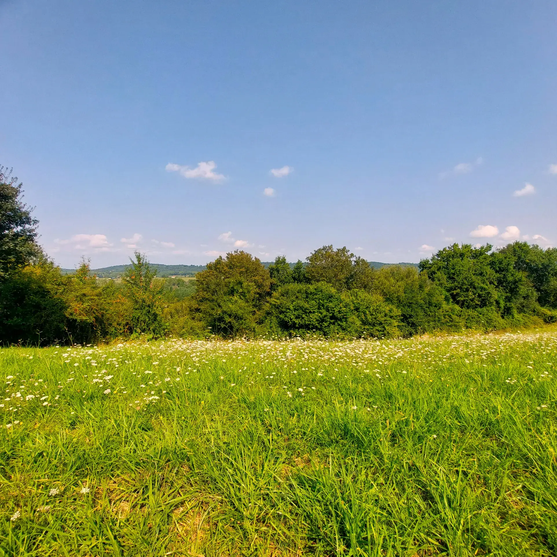 Terrain à bâtir de 1338 m² à Guiche avec vue dégagée, proximité Bayonne 