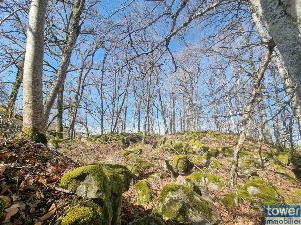 À vendre propriété isolée de 3,4 ha avec maison de 140 m² et dépendance à Cros 
