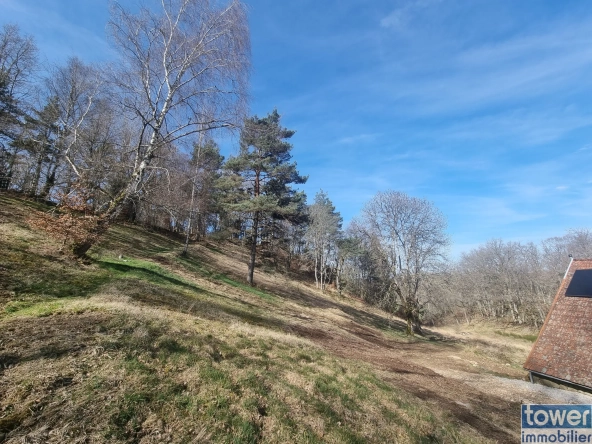 À vendre propriété isolée de 3,4 ha avec maison de 140 m² et dépendance à Cros 