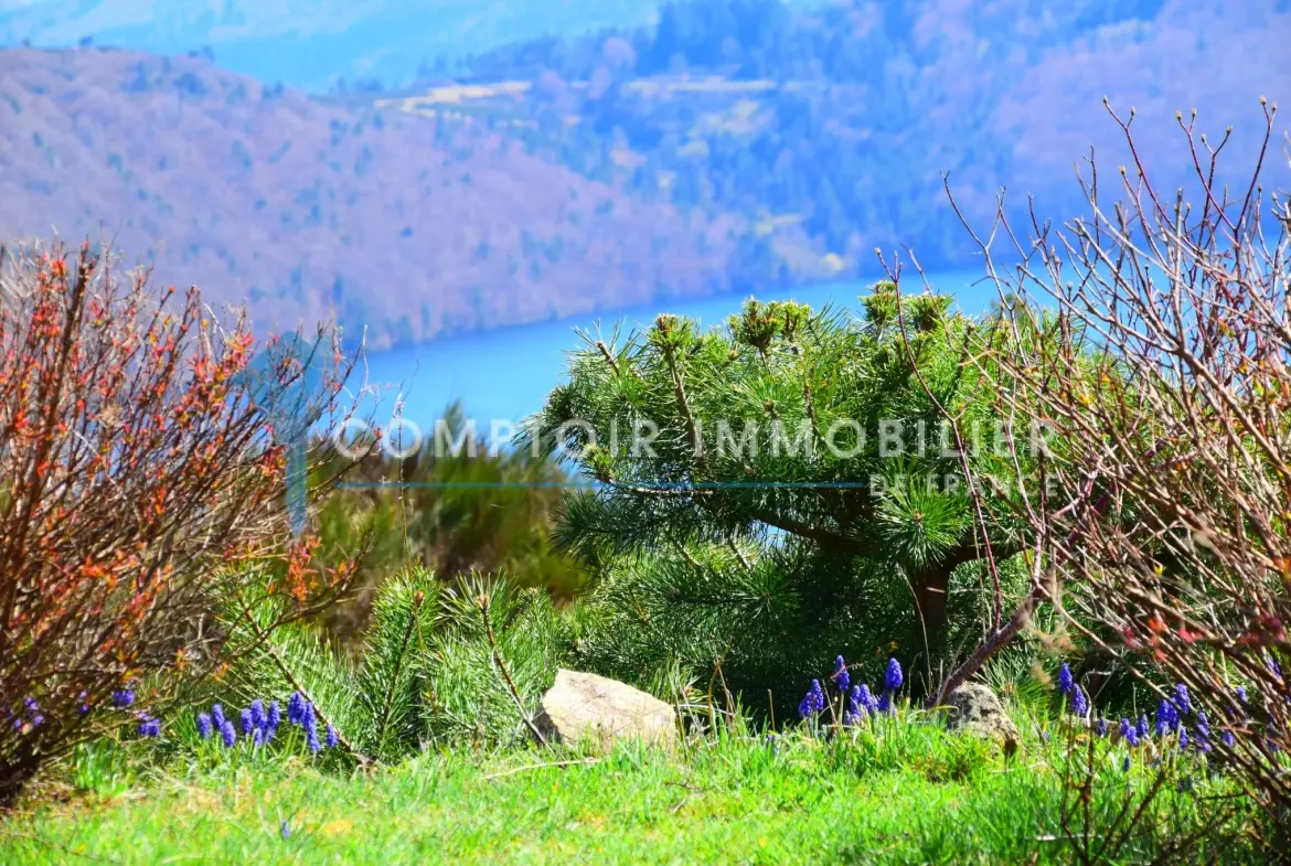 Villa de 90 m² au bord du lac d'Issarlès avec vue panoramique en Ardèche 