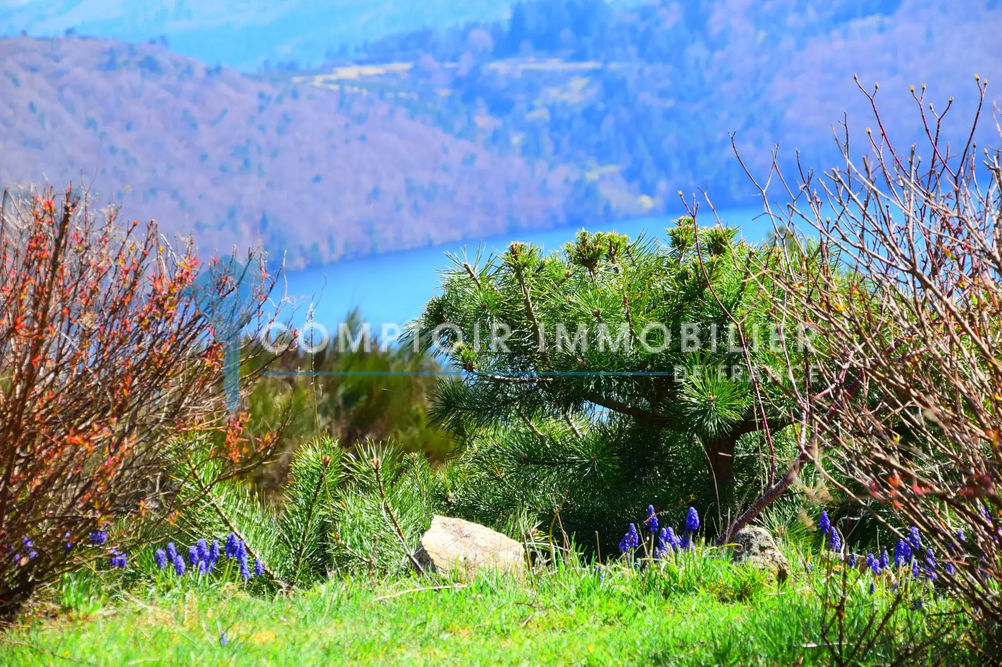 Villa de 90 m² au bord du lac d'Issarlès avec vue panoramique en Ardèche 