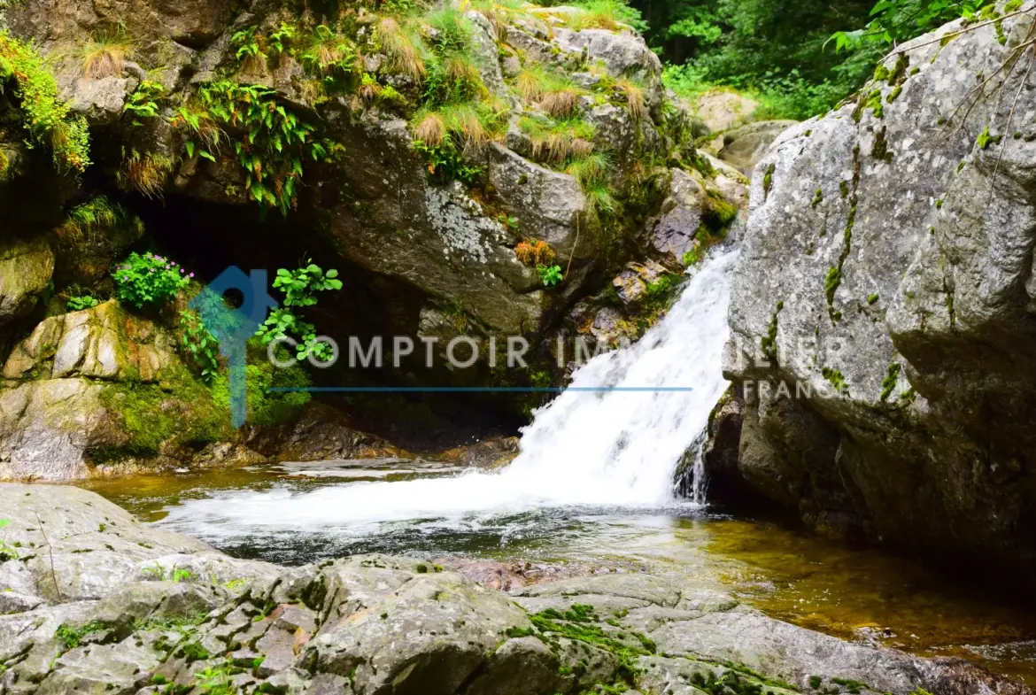 Propriété rare en Ardèche avec maison, Mazet, piscine chauffée et accès rivière à Astet 
