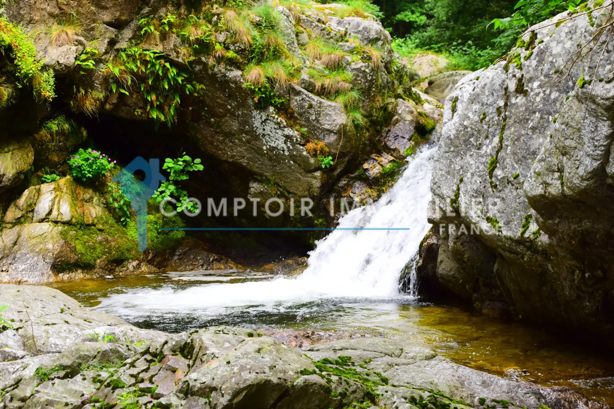 Propriété rare en Ardèche avec maison, Mazet, piscine chauffée et accès rivière à Astet 