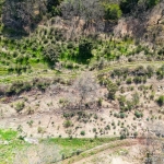 Terrain constructible de 2000 m² avec vue mer et montagnes à Revest-les-Roches