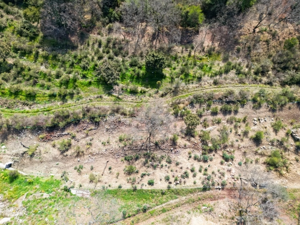 Terrain constructible de 2000 m² avec vue mer et montagnes à Revest-les-Roches