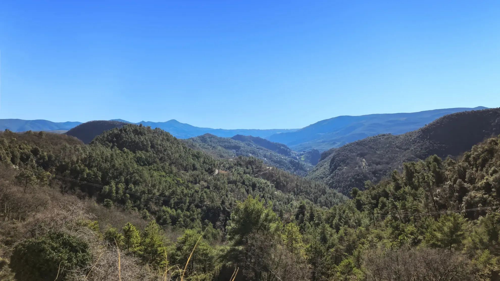 Terrain constructible de 2000 m² avec vue mer et montagnes à Revest-les-Roches 