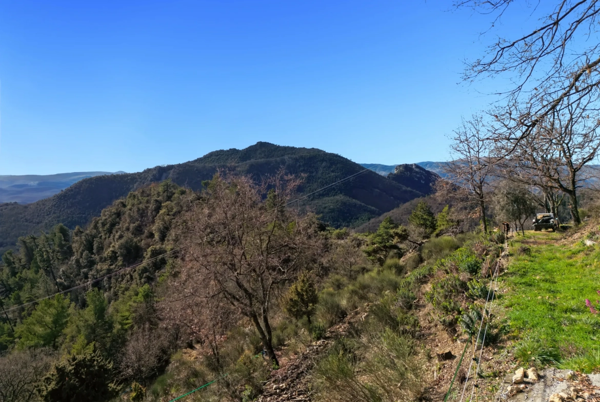 Terrain constructible de 2000 m² avec vue mer et montagnes à Revest-les-Roches 