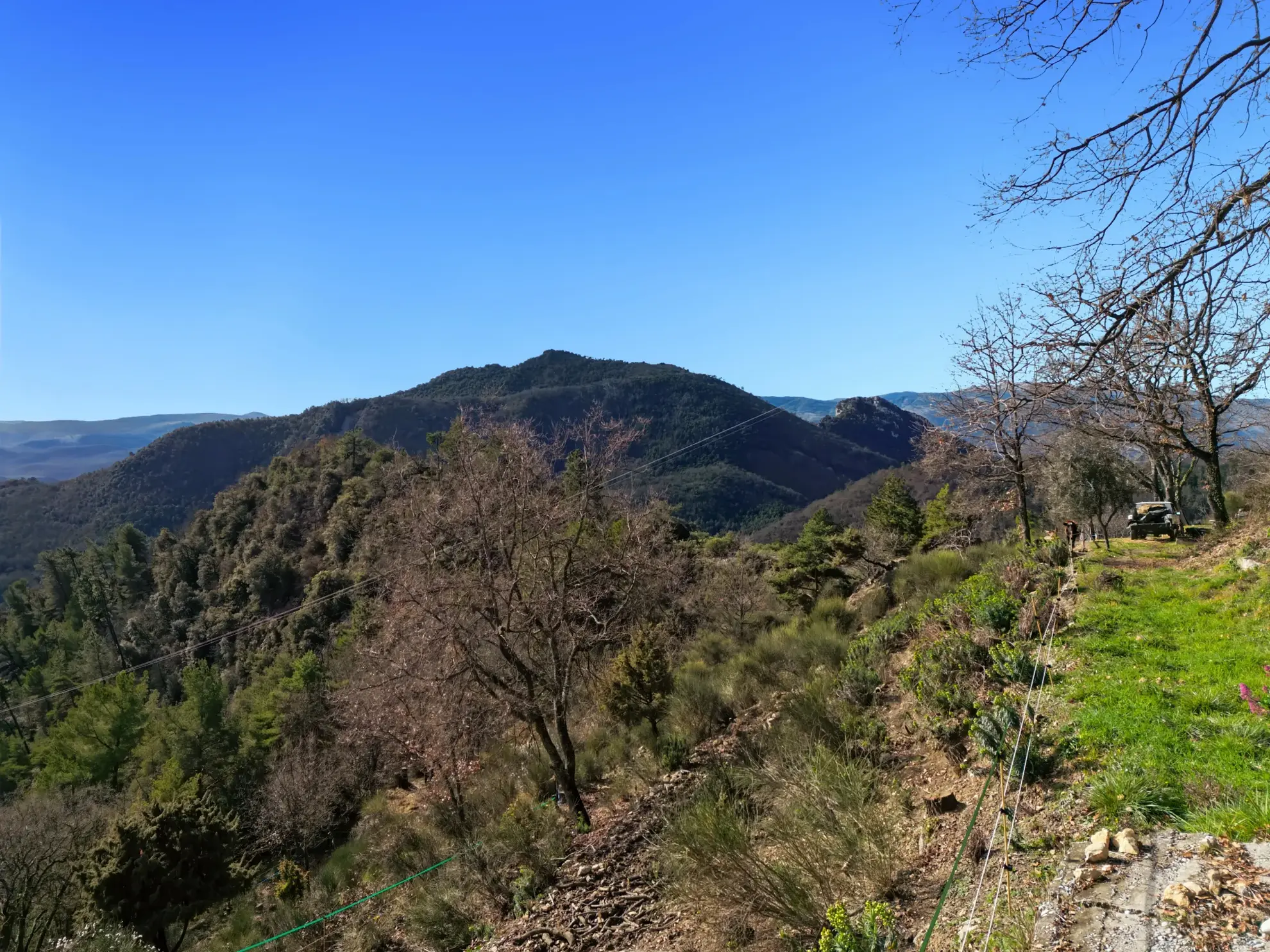 Terrain constructible de 2000 m² avec vue mer et montagnes à Revest-les-Roches 