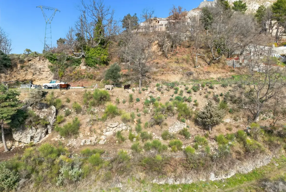 Terrain constructible de 2000 m² avec vue mer et montagnes à Revest-les-Roches 