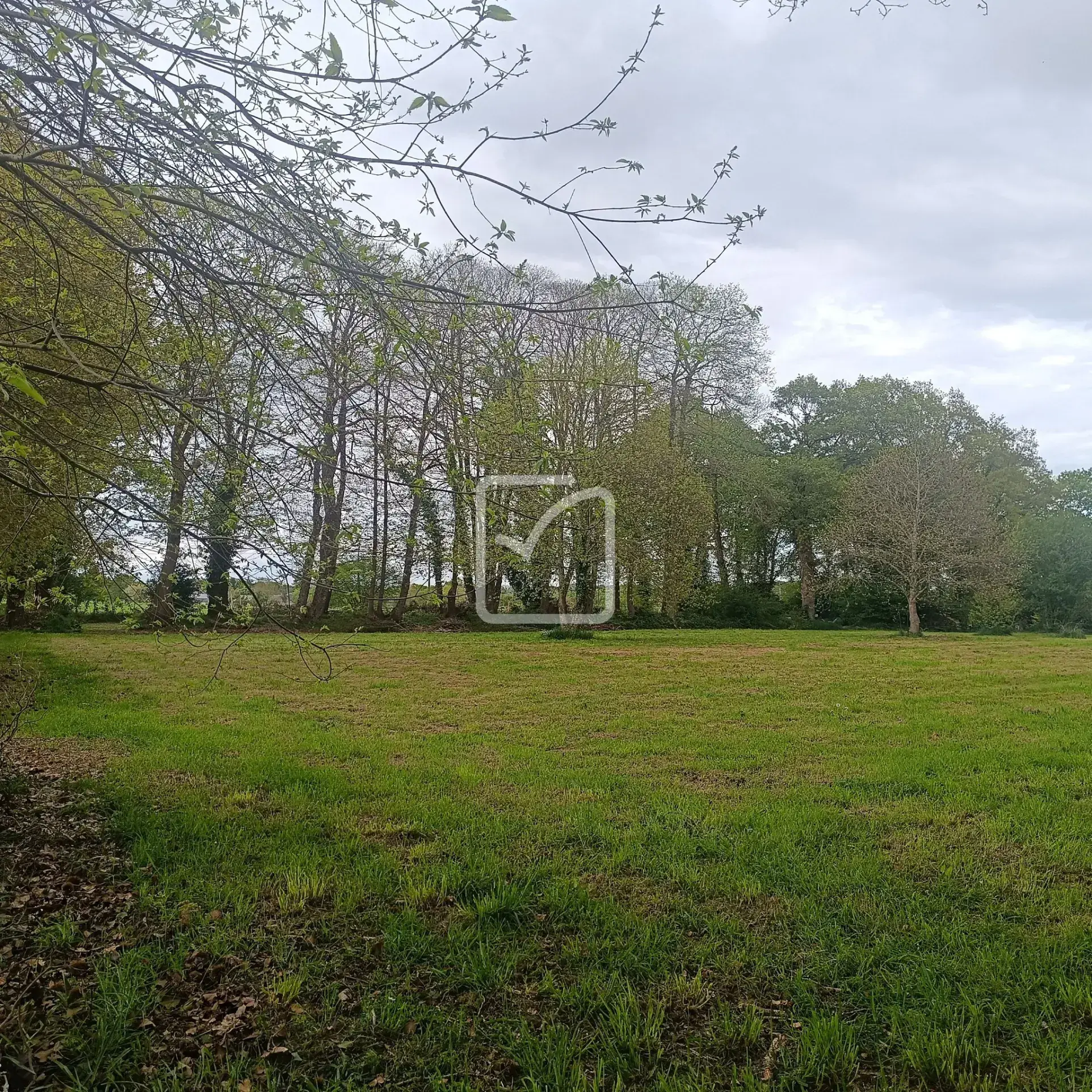 Longère rénovée de 165 m2 avec grand terrain à Mauron en campagne 