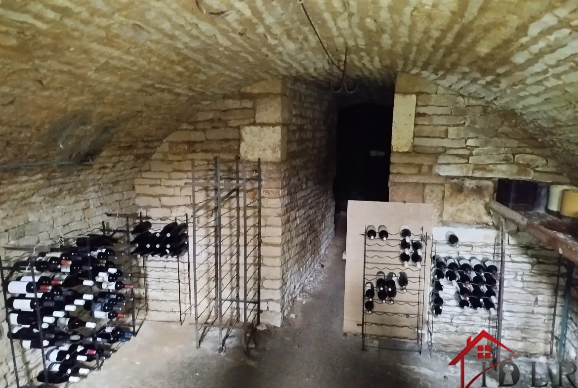 Maison en pierre à Bourdons-sur-Rognon (52700) avec garage et terrain 